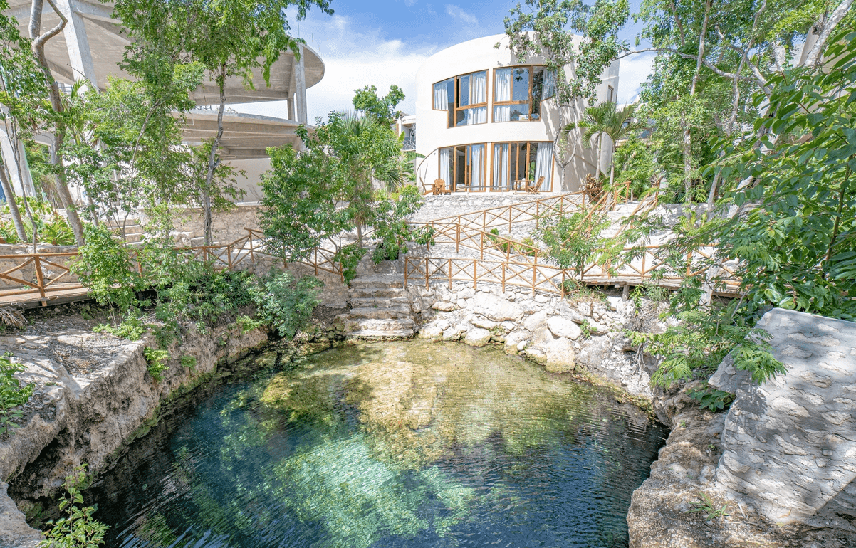 ancana-vega-del-bosque